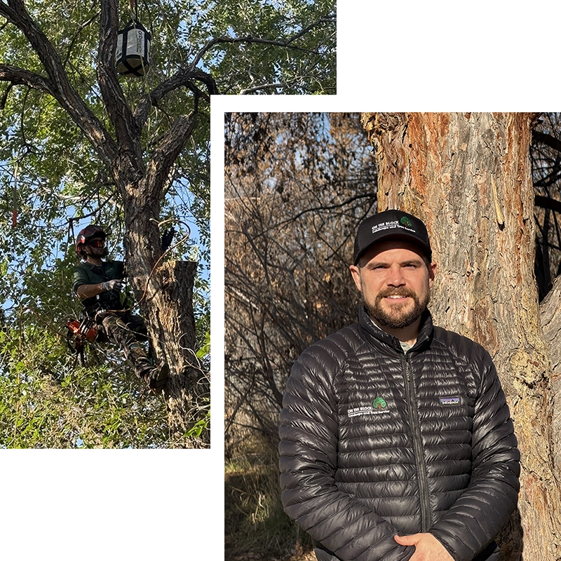ISA-Certified Arborists On Staff